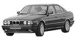 BMW E34 U2036 Fault Code